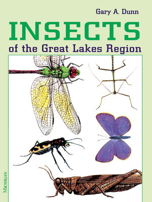 cover image of Insects of the Great Lakes Region